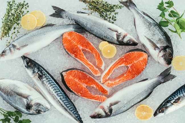 Ikan sehat dikonsumsi